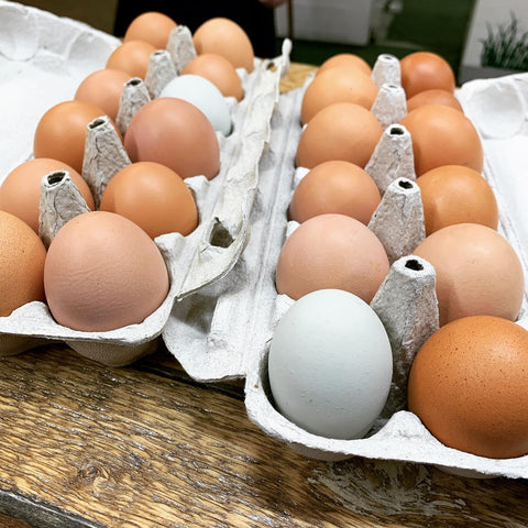Eggs