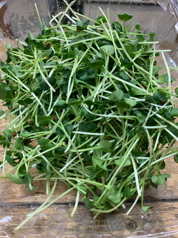 Radish Shoots