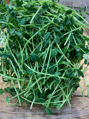 Pea Shoots