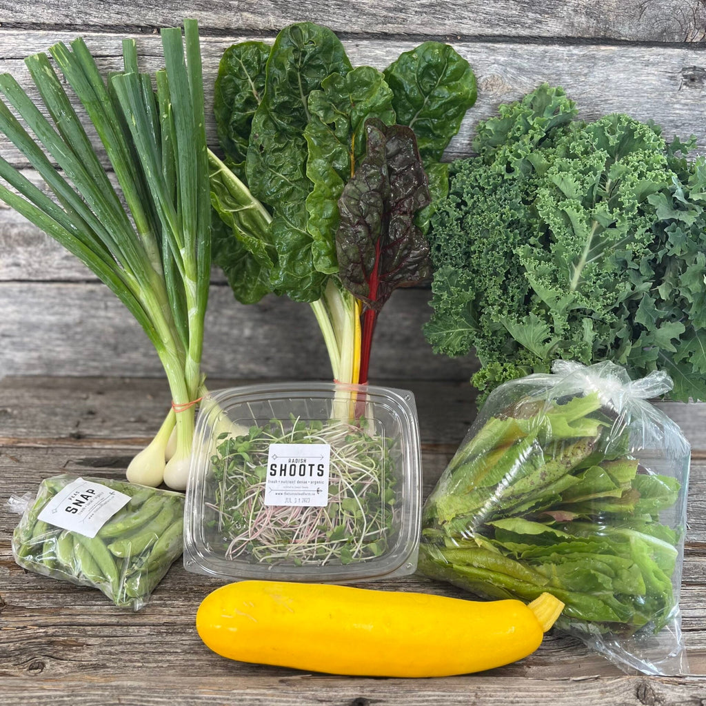 2025-26 Garden Box