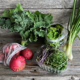 2025-26 Garden Box