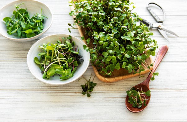 Microgreens (Custom Box)