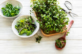 Microgreens (Custom Box)