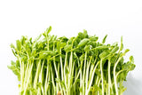 Microgreens (Custom Box)