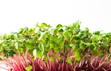 Microgreens (Custom Box)