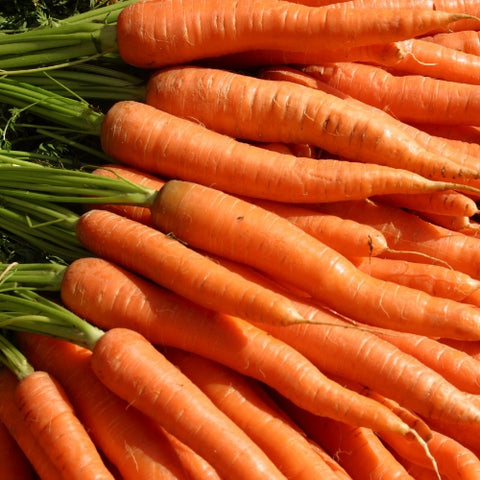 Carrots (Custom Box)