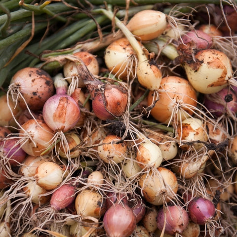 Organic Vegetables (Custom Box)